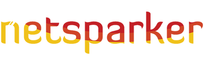 Avis sur Netsparker Avis sur Netsparker